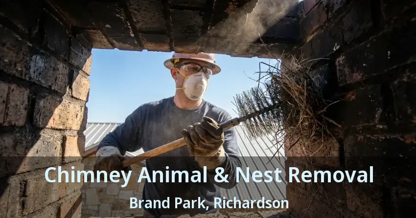 Chimney Animal & Nest Removal Brand Park, Richardson - TX Chimney Animal & Nest Removal Brand Park, Richardson - TX