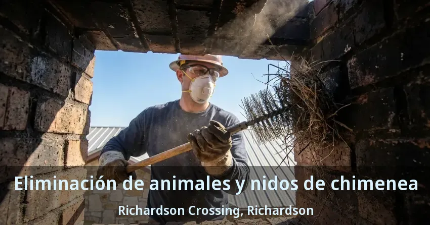Eliminación de animales y nidos de chimenea Richardson Crossing, Richardson - TX Eliminación de animales y nidos de chimenea Richardson Crossing, Richardson - TX