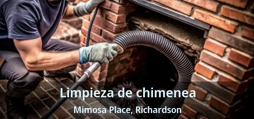 Limpieza de chimenea Mimosa Place, Richardson - TX