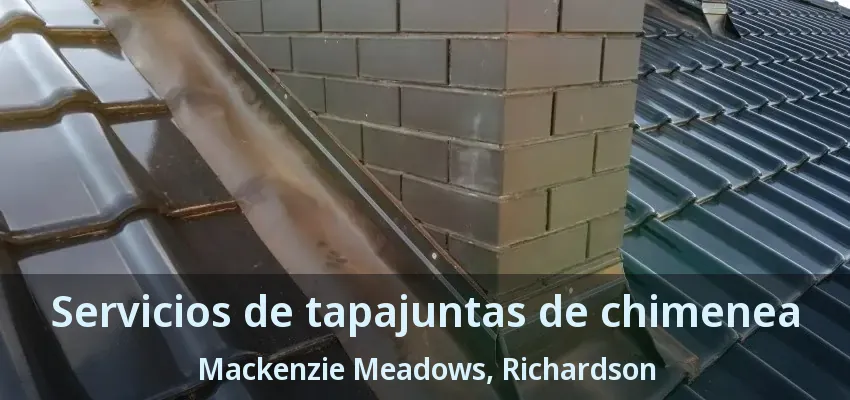 Servicios de tapajuntas de chimenea Mackenzie Meadows, Richardson - TX Servicios de tapajuntas de chimenea Mackenzie Meadows, Richardson - TX