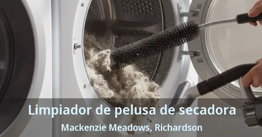 Limpiador de pelusa de secadora Mackenzie Meadows, Richardson - TX Limpiador de pelusa de secadora Mackenzie Meadows, Richardson - TX