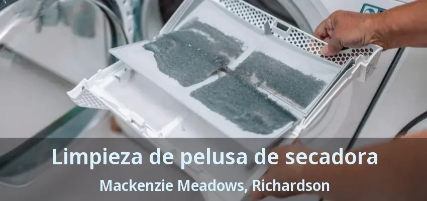 Limpieza de pelusa de secadora Mackenzie Meadows, Richardson - TX Limpieza de pelusa de secadora Mackenzie Meadows, Richardson - TX