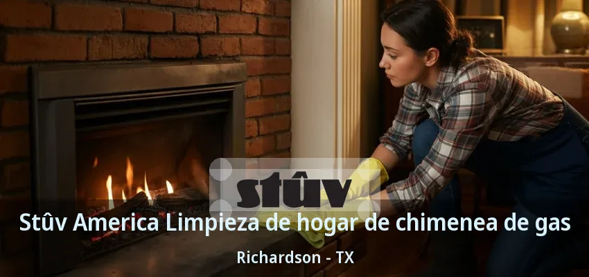 Stûv America Limpieza de hogar de chimenea de gas Richardson - TX Stûv America Limpieza de hogar de chimenea de gas Richardson - TX