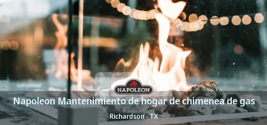 Napoleon Mantenimiento de hogar de chimenea de gas Richardson - TX