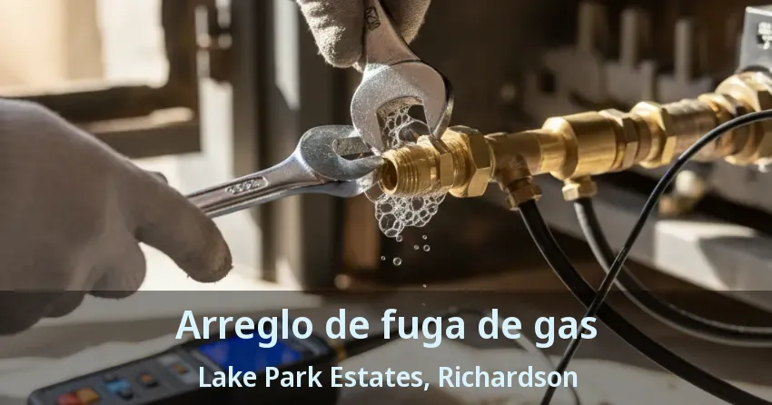 Arreglo de fuga de gas Lake Park Estates, Richardson - TX Arreglo de fuga de gas Lake Park Estates, Richardson - TX