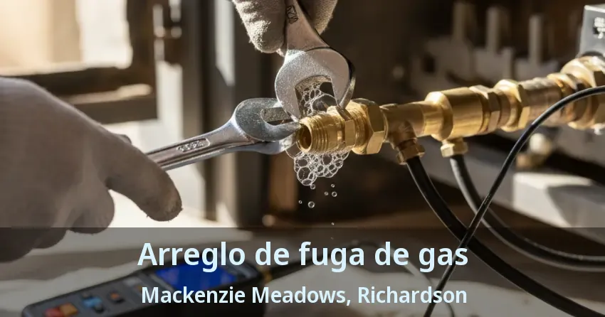 Arreglo de fuga de gas Mackenzie Meadows, Richardson - TX Arreglo de fuga de gas Mackenzie Meadows, Richardson - TX