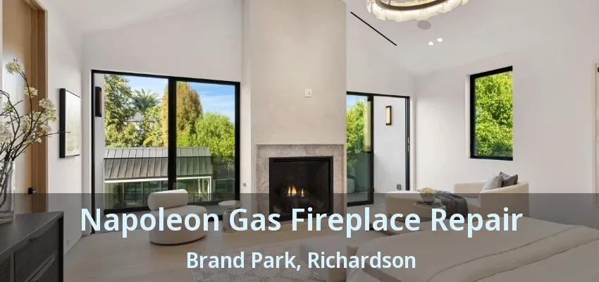 Napoleon Gas Fireplace Repair Brand Park, Richardson - TX