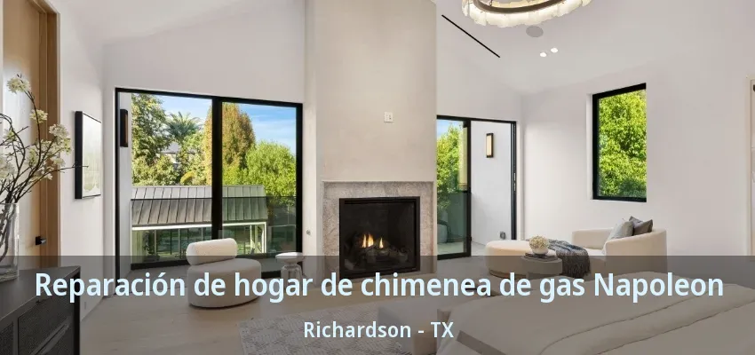 Reparación de hogar de chimenea de gas Napoleon Richardson - TX