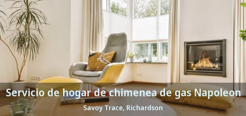 Servicio de hogar de chimenea de gas Napoleon Savoy Trace, Richardson - TX Servicio de hogar de chimenea de gas Napoleon Savoy Trace, Richardson - TX