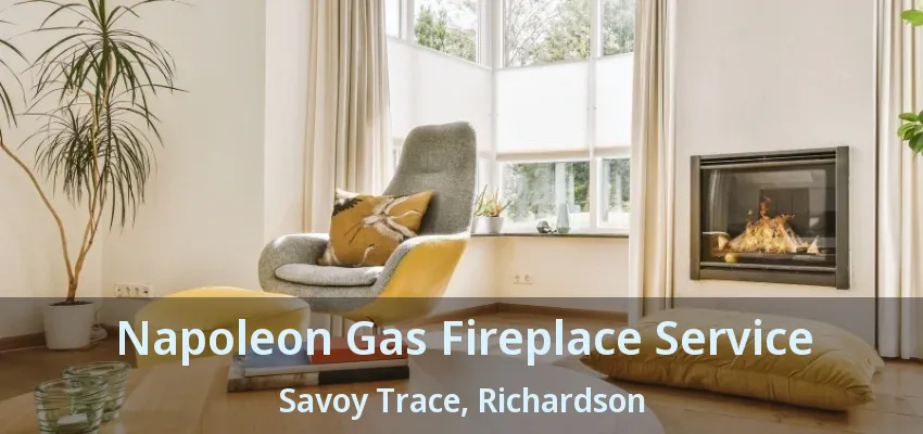Napoleon Gas Fireplace Service Savoy Trace, Richardson - TX Napoleon Gas Fireplace Service Savoy Trace, Richardson - TX