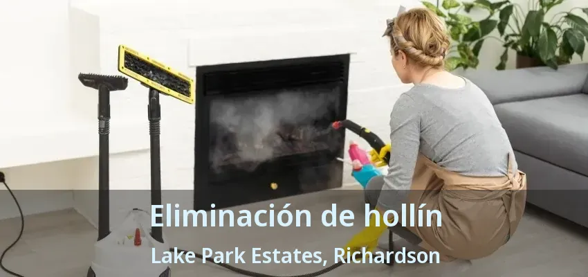 Eliminación de hollín Lake Park Estates, Richardson - TX